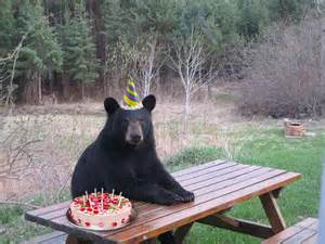 party bear