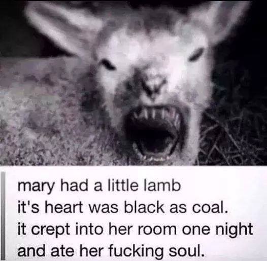 tumblr_n8oiloUX341qgleipo1_540