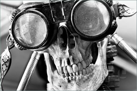 Human-Skull-1959496