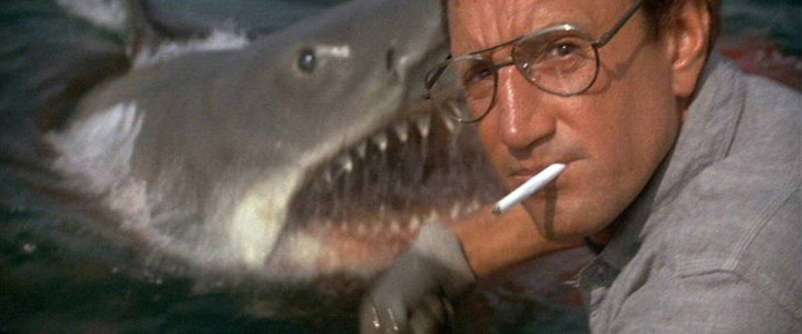 Jaws chum