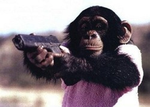 ape-with-a-gun-x2