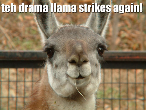 drama llama