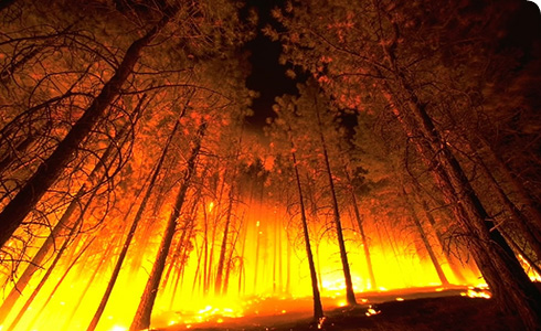 forest-fire-usda_120200_1