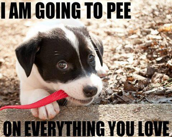 I-am-going-to-pee