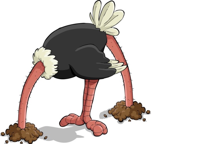 Ostrich-with-head-in-sand-illustration-50PC_REDUC