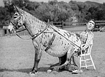 RickPerryHorse