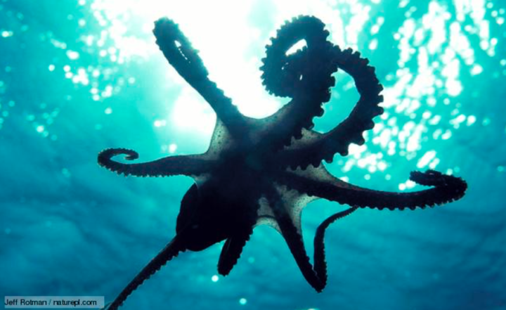 Screen Shot 2015-08-15 at 10.06.16 PM