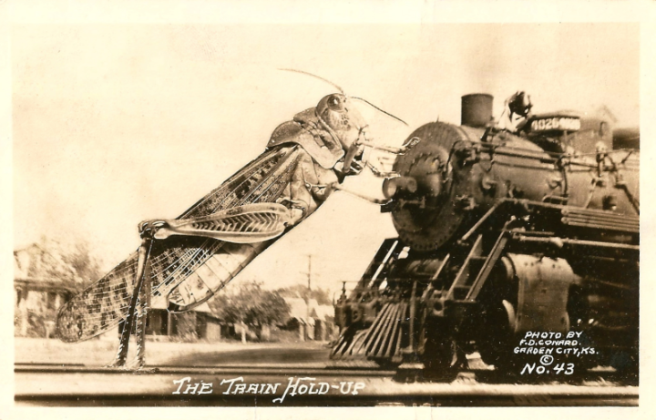 TrainHoldup_vintagePostcard-grasshopper_RECU50PCT