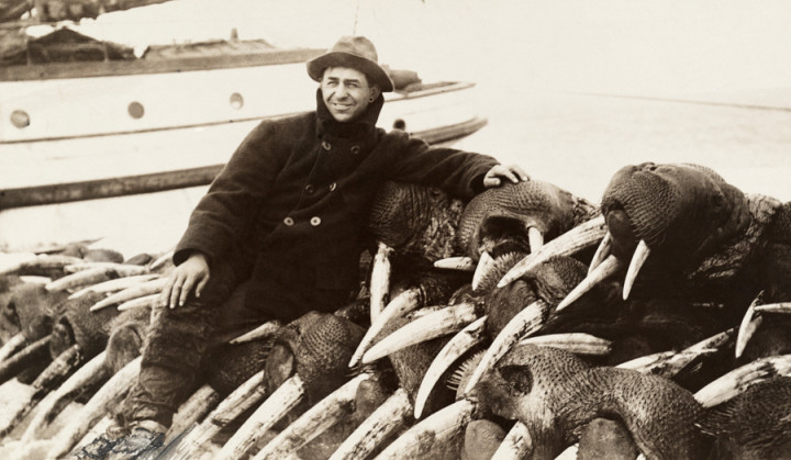 Walrus_hunter_1911