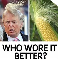 Who wore it better - Trump or stalk of corn