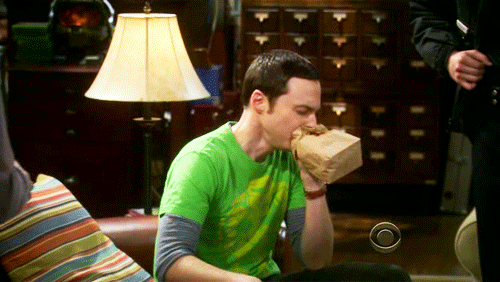 barf bag