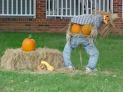 happy-fall