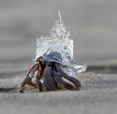 hermit-crab-castle