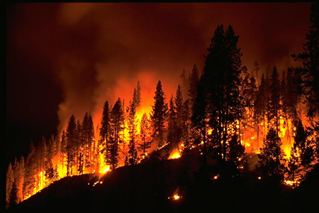 noaa_forest_fire