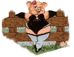 pig32-vi