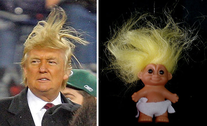 things-look-like-donald-trumps-hilarious-hair-style-02