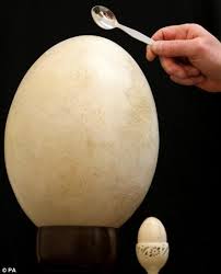 big egg