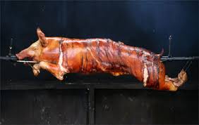 cochon
