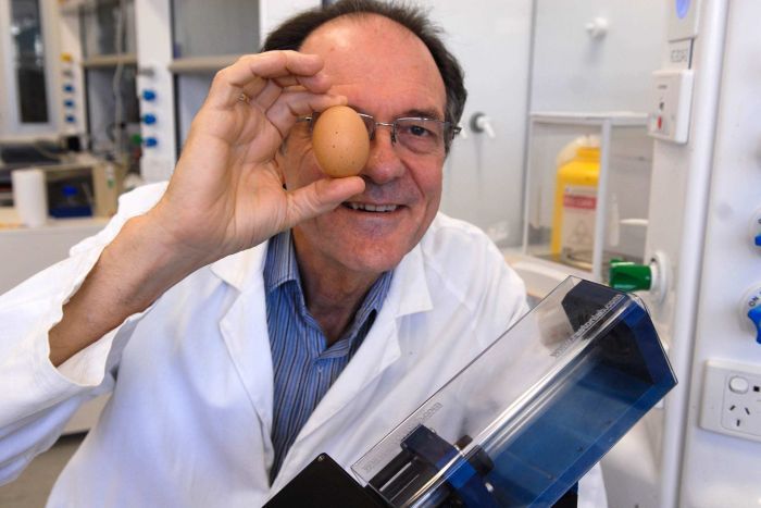egg igNobel awards