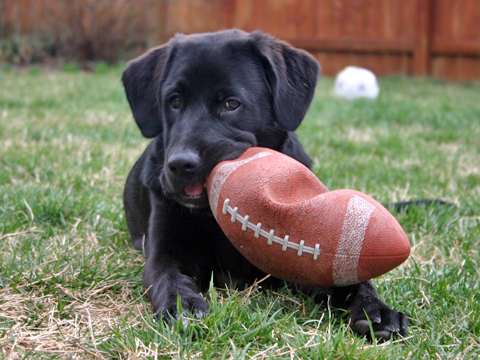 mouthful-of-football
