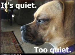 quiet dog