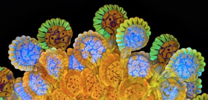 Screen Shot 2015-10-18 at 12.52.43 PM