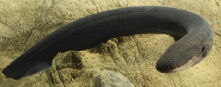 Screen Shot 2015-10-29 at 10.56.12 AM