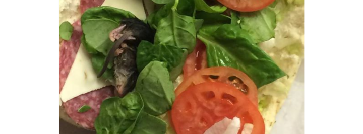 SubwaySandwichWithMouse