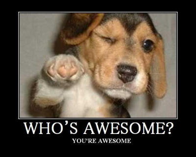 good-job-whos-awesome
