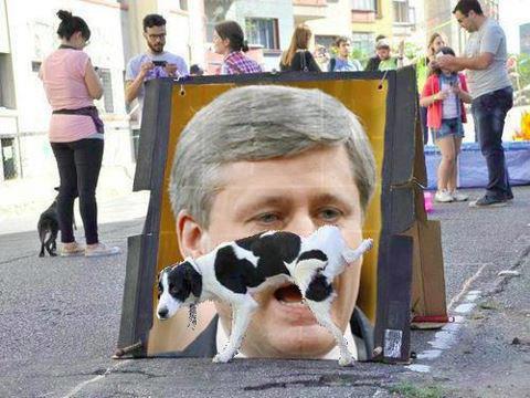 harper