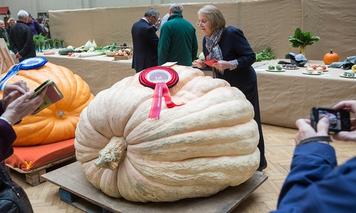 pumpkin