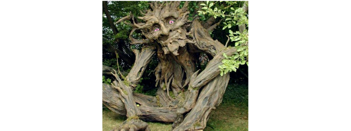 Treebeard+in+his+college+days_5d157d_4509356-PADDED