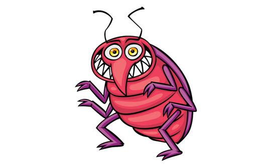bug