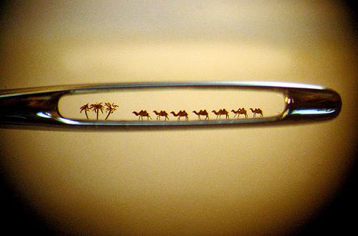 camel