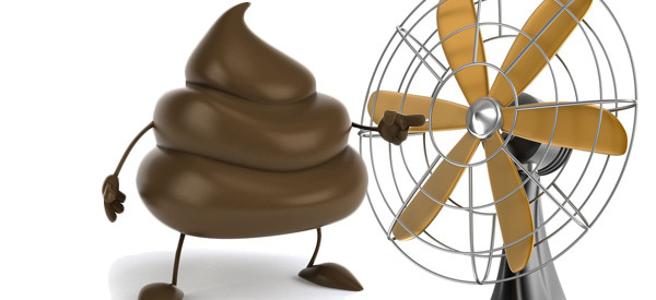 fan_1363375500_600x275[1]