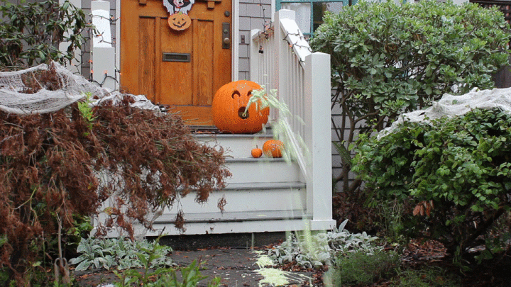 foamPumpkin