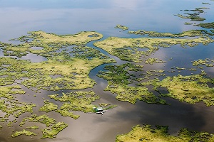 Terrebonne Parish, LA - 6.10.2015 - Eroded wetlands surround a camp house in rural Terrebonne Parish.