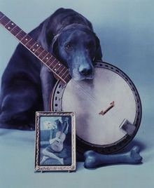 Wegman Dog Banjo