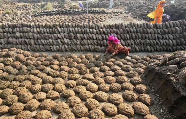 pb-110131-india-dung-whalen-01.photoblog900[1]