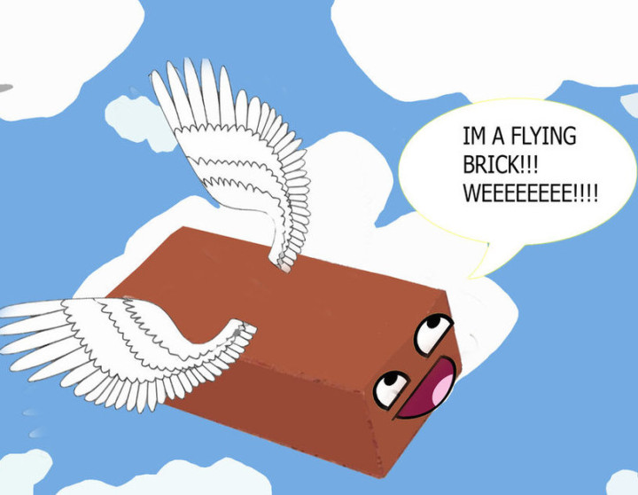 the_flying_brick