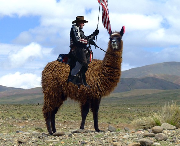 Freedom Llama _sm
