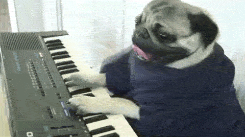 dog piano