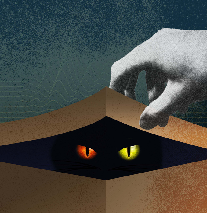 PW-2014-02-24-Dume-qubits[1]