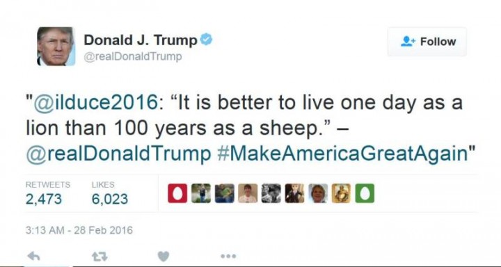 Trumpolini