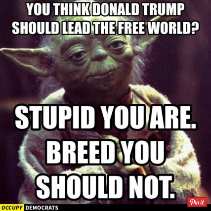 You think Donald Trump should lead the free world stupid you are breed you should not
