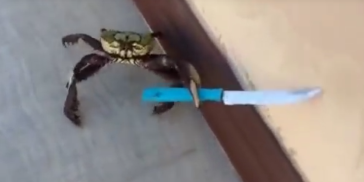 crab-with-knife