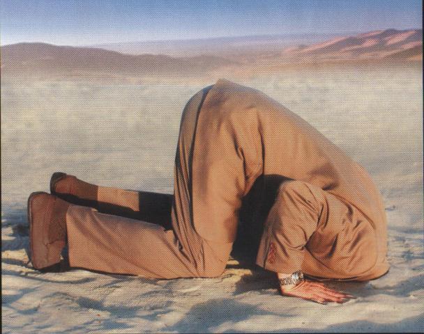 head_in_sand_sm