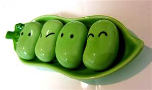 soybeans