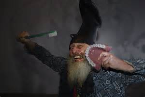 vermin supreme