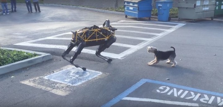 Dog 1 Robot 0